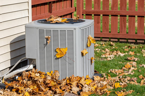 Best HVAC emergency services  in Homerville, GA